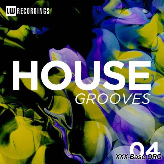 House Grooves Vol. 04