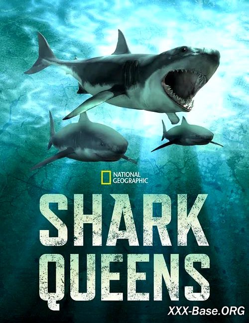 Владычицы морей | Shark Queens (2022/WEB-DL/720p/1080p)