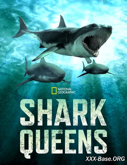   | Shark Queens (2022/WEB-DL/720p/1080p)