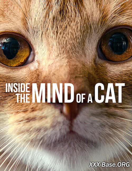    (   ) | Inside the Mind of a Cat (2022/WEB-DL/1080p)