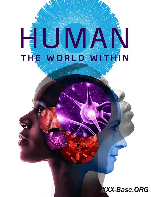Человеческое тело: Мир внутри | Human: The World Within (1 сезон/2021/WEB-DL/720p/1080p)