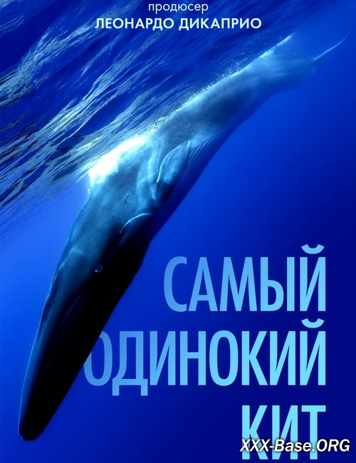    | The Loneliest Whale: The Search for 52 (2021/WEB-DL/720p/1080p)