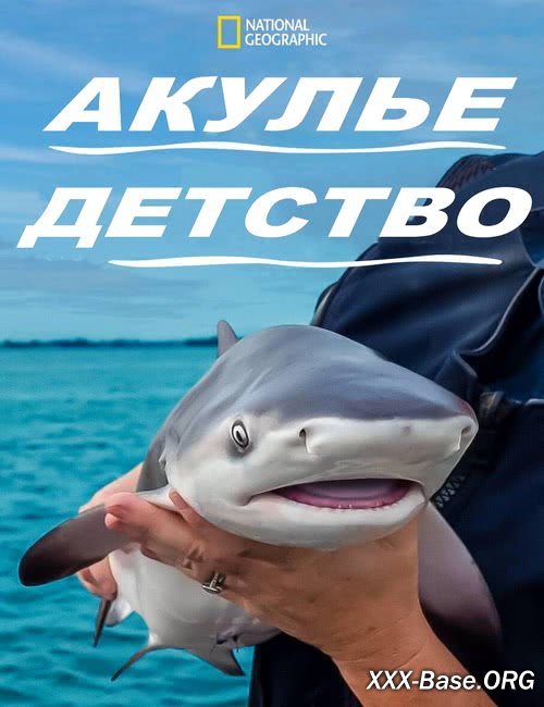 National Geographic. Акулье детство | Baby Sharks (2022/WEB-DL/1080p)