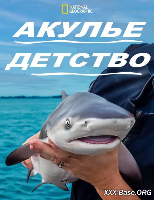 National Geographic.   | Baby Sharks (2022/WEB-DL/1080p)