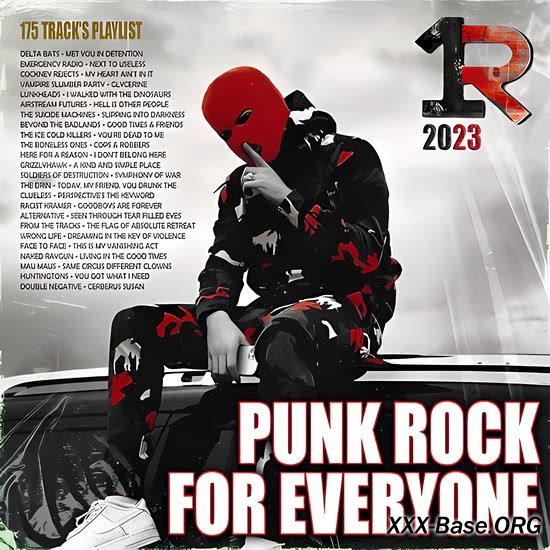 Punk Rock For Everyone