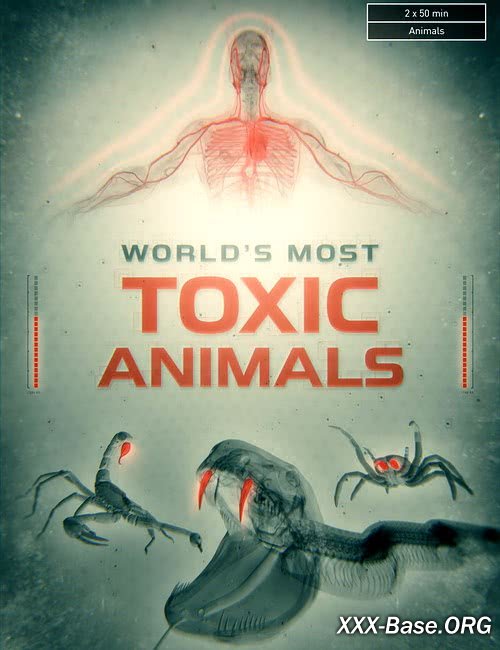 Viasat Nature:     | Viasat Nature: World's Most Toxic Animals (1 /2021/HDTVRip/720p)