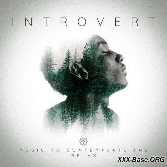 Introvert: Music to contemplate and relax