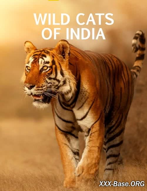    | Wild Cats of India (2020/WEB-DL/1080p)