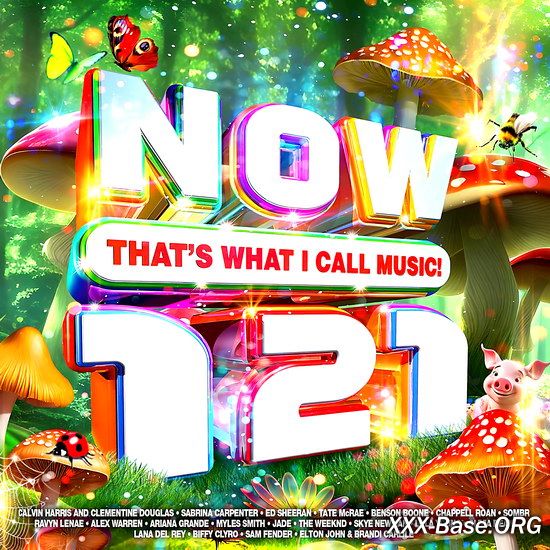 NOW Thats What I Call Music! 121 (2CD)